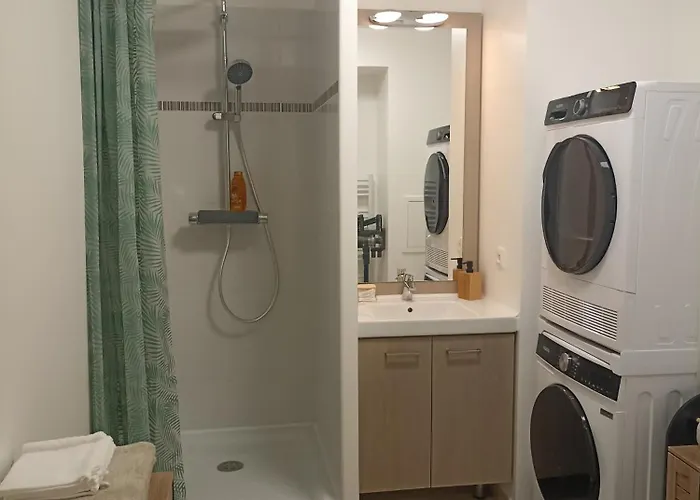 Confort Massy-paris 公寓 *